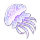 海蜇